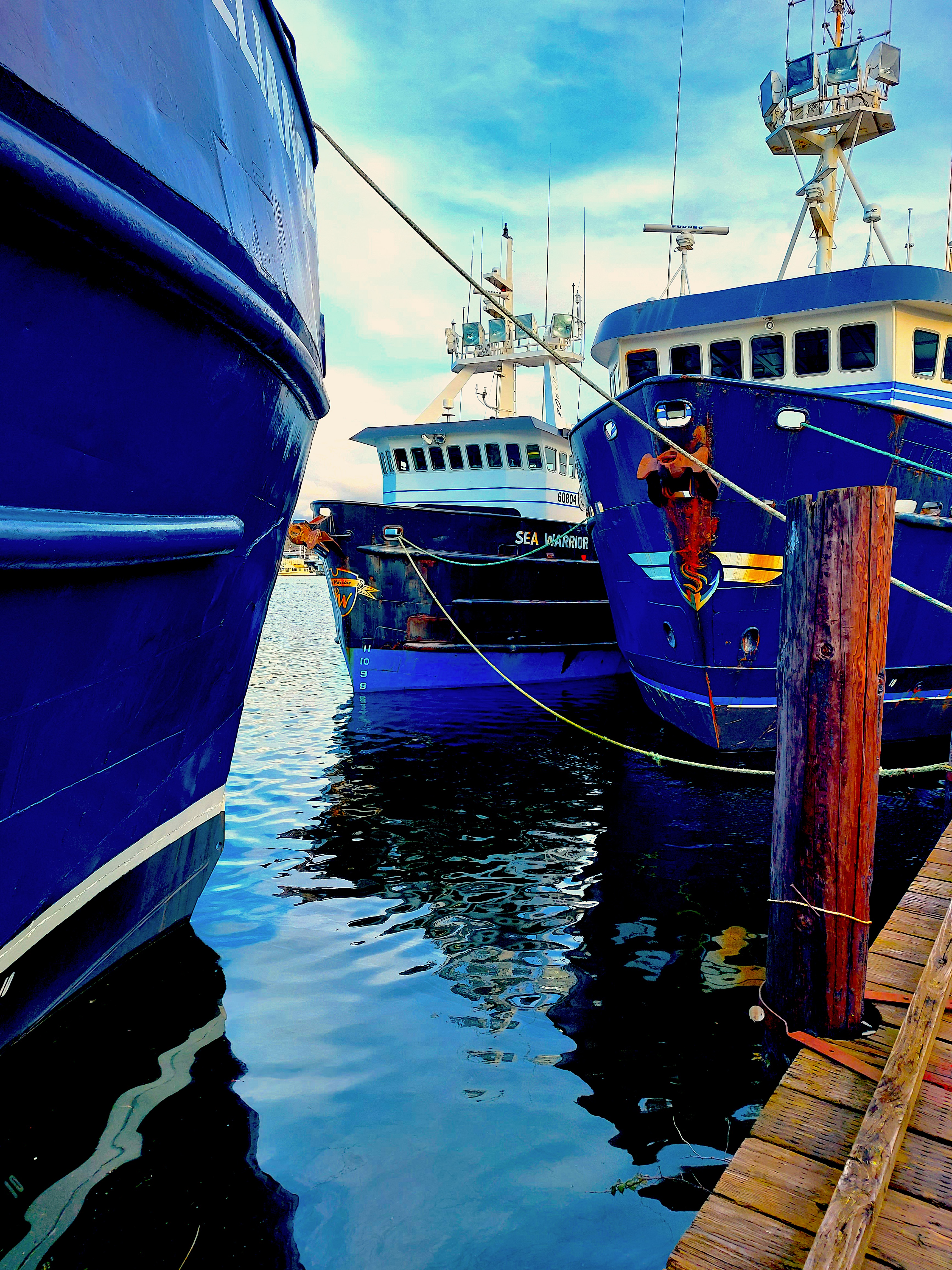 Chartering Solutions